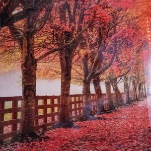 Meet your Posher, Gavin